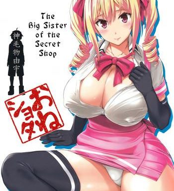 mayoiga no onee san the big sister of the secret shop cover