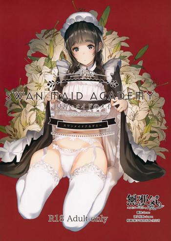 swan maid academy cover