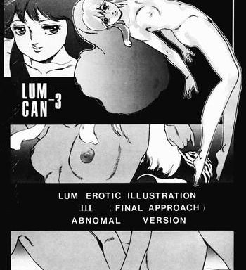 lum can 3 cover