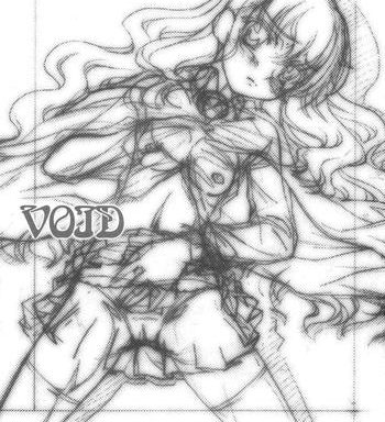 void cover 1