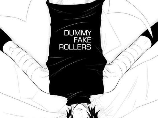 dummy fake rollers cover