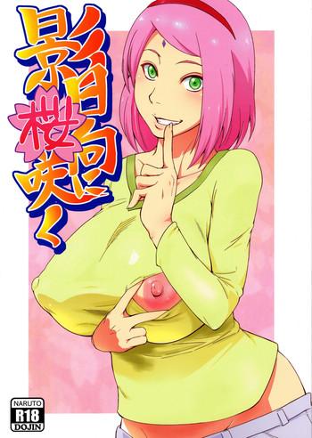 kage hinata ni sakura saku cover 1