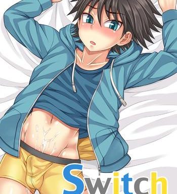 switch cover