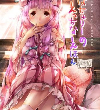 patchouli no ecchi na ehon cover