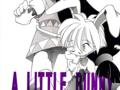 a little bunny cover