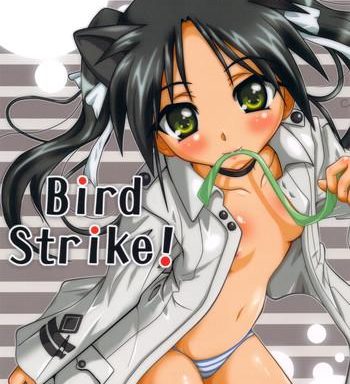 bird strike cover