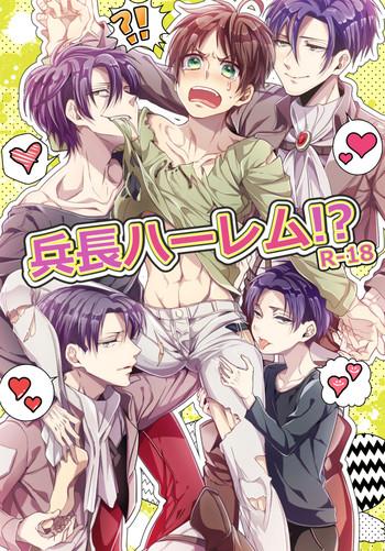 heichou harem cover