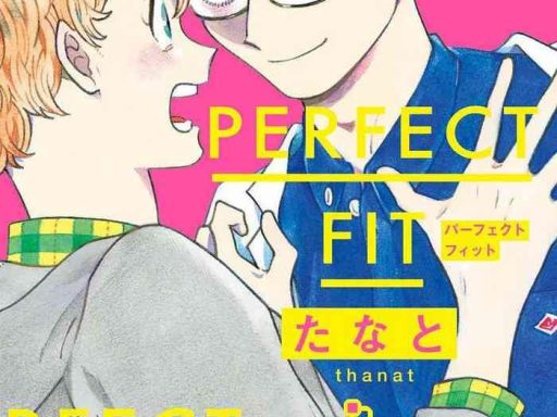 perfect fit ch 1 6 cover