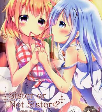 sister or not sister cover