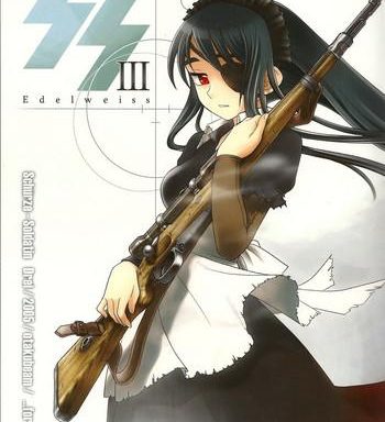 ss 3 edelweiss cover