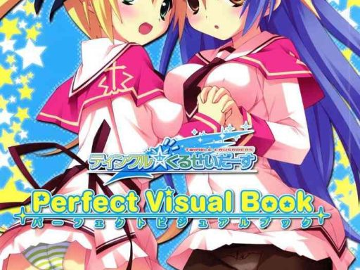 twinkle crusaders perfect visual book cover