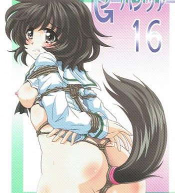 g panzer 16 cover