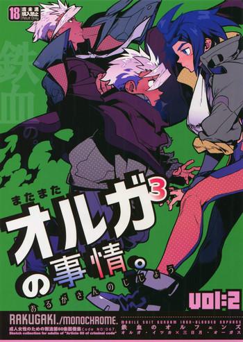 matamata orga san no jijou vol 2 cover