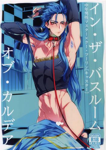 in the bathroom of chaldea cover