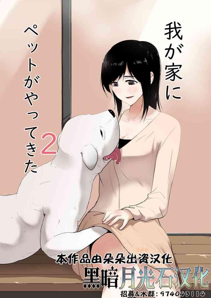 wagaya ni inu ga yattekita 2 cover