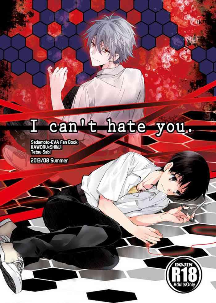 i can t hate you cover