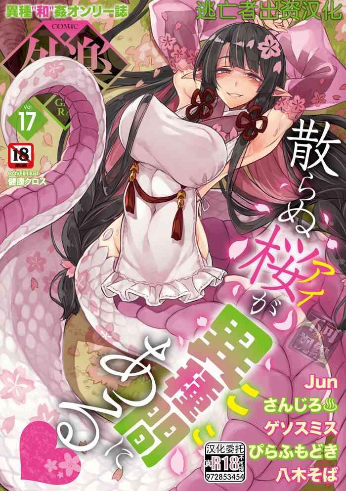 comic gaira vol 17 cover