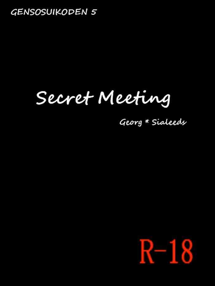 secret meeting cover