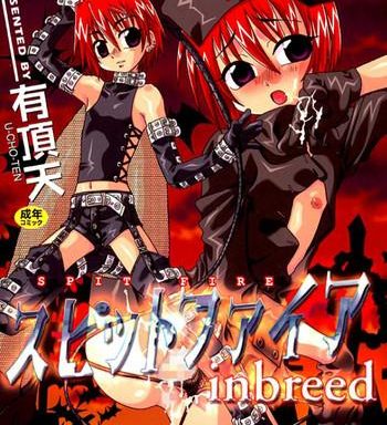 spitfire inbreed cover