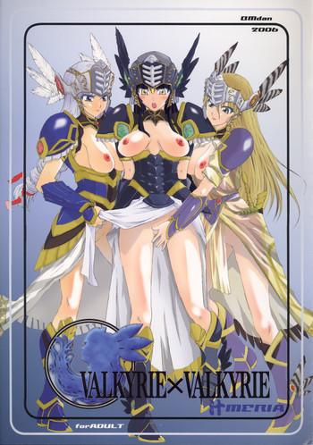 valkyrie x valkyrie shirumeria cover