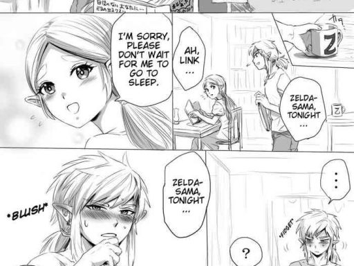 breawi no linzel ga hitasura ichaicha shite sukebe na koto suru manga a botw manga where link and zelda earnestly flirt and do lewd things cover