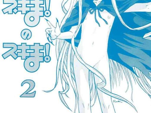 negima no sukima 2 cover