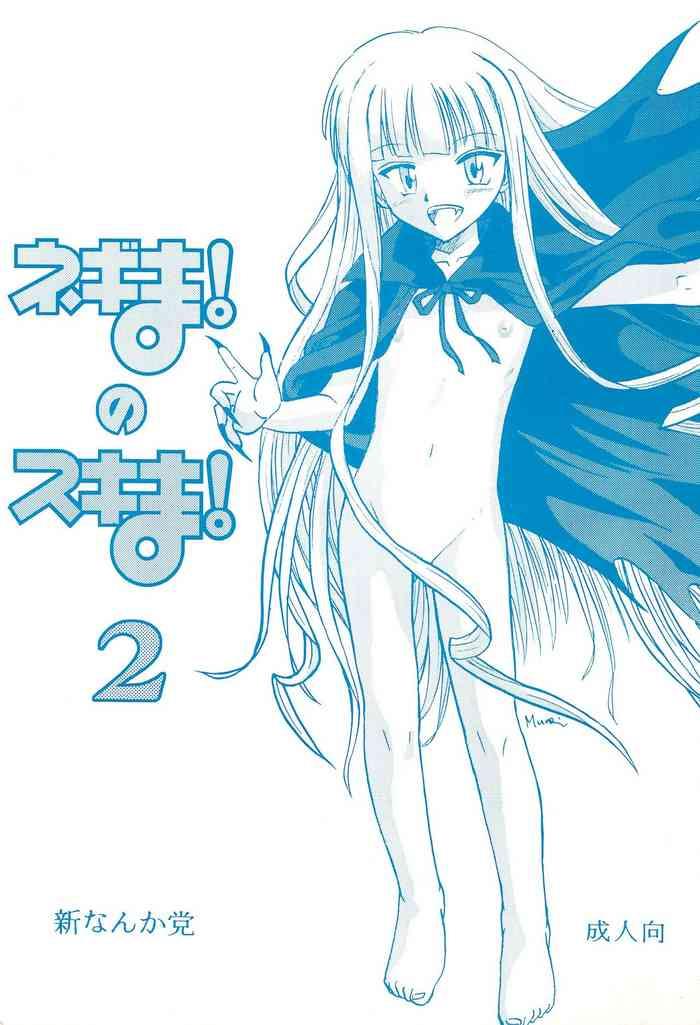 negima no sukima 2 cover