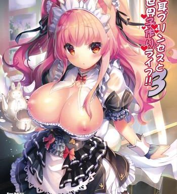 usamimi princess to isekai kozukuri life 3 cover