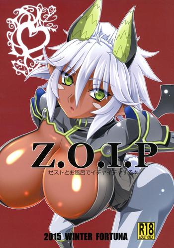 z o i p cover